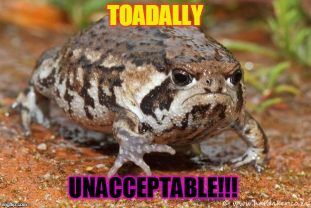 Grumpy Toad | TOADALLY; UNACCEPTABLE!!! | image tagged in memes,grumpy toad | made w/ Imgflip meme maker