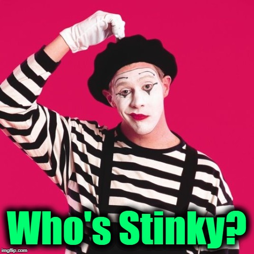 confused mime | Who's Stinky? | image tagged in confused mime | made w/ Imgflip meme maker