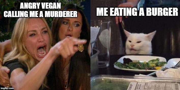 Woman Screaming at Cat | ME EATING A BURGER; ANGRY VEGAN CALLING ME A MURDERER | image tagged in woman screaming at cat | made w/ Imgflip meme maker