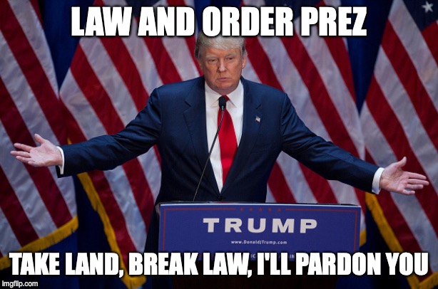 Donald Trump | LAW AND ORDER PREZ; TAKE LAND, BREAK LAW, I'LL PARDON YOU | image tagged in donald trump | made w/ Imgflip meme maker