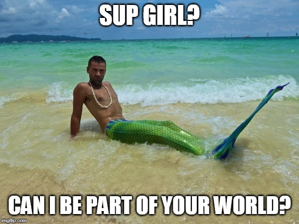 SUP GIRL? CAN I BE PART OF YOUR WORLD? | image tagged in the little mermaid | made w/ Imgflip meme maker