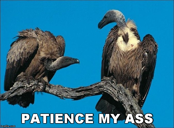 patience my ass | PATIENCE MY ASS | image tagged in patience my ass | made w/ Imgflip meme maker