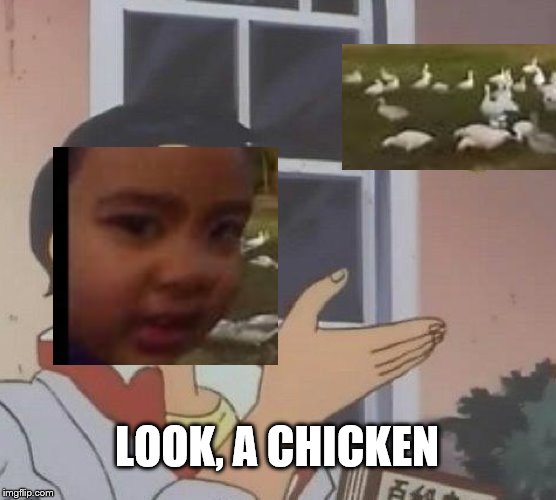 Is This A Pigeon Meme | LOOK, A CHICKEN | image tagged in memes,is this a pigeon | made w/ Imgflip meme maker