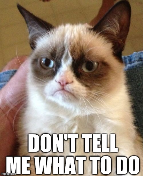 Grumpy Cat Meme | DON'T TELL ME WHAT TO DO | image tagged in memes,grumpy cat | made w/ Imgflip meme maker