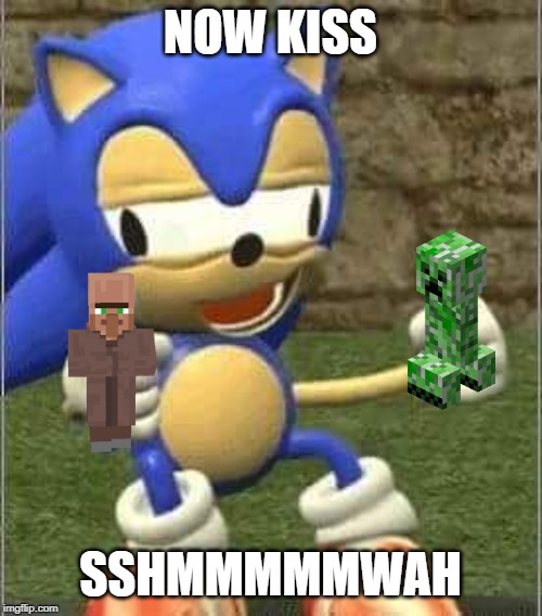 Drunk Sonic | NOW KISS; SSHMMMMMWAH | image tagged in drunk sonic | made w/ Imgflip meme maker