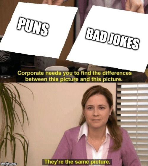 They're The Same Picture Meme | PUNS; BAD JOKES | image tagged in corporate needs you to find the differences | made w/ Imgflip meme maker
