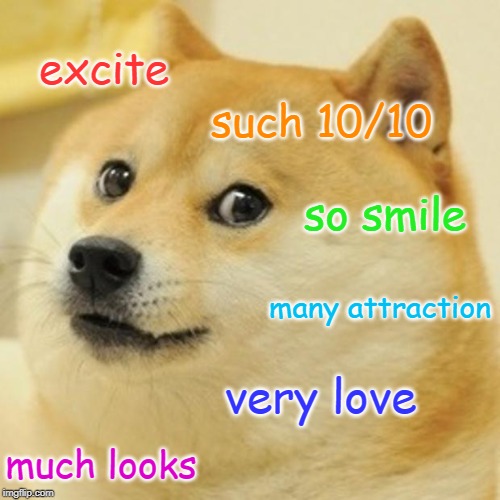 Wow. Many pleasure. | excite; such 10/10; so smile; many attraction; very love; much looks | image tagged in memes,doge,amaze | made w/ Imgflip meme maker
