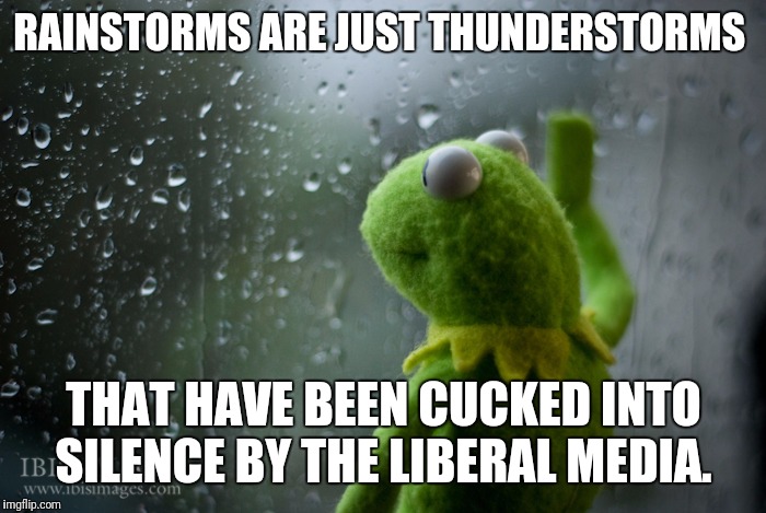 Meteorology has been misrepresenting weather for years. | RAINSTORMS ARE JUST THUNDERSTORMS; THAT HAVE BEEN CUCKED INTO SILENCE BY THE LIBERAL MEDIA. | image tagged in kermit the frog rainy day,weather,storm,liberal media | made w/ Imgflip meme maker