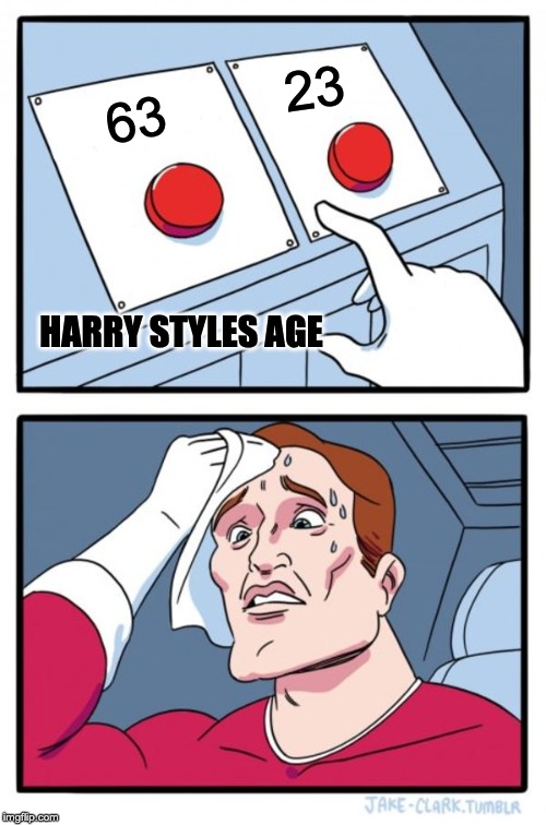 Two Buttons Meme | 23; 63; HARRY STYLES AGE | image tagged in memes,two buttons | made w/ Imgflip meme maker