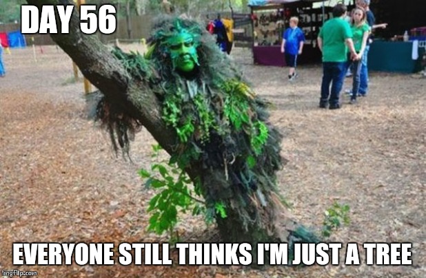 DAY 56 | DAY 56; EVERYONE STILL THINKS I'M JUST A TREE | image tagged in camouflage,memes | made w/ Imgflip meme maker