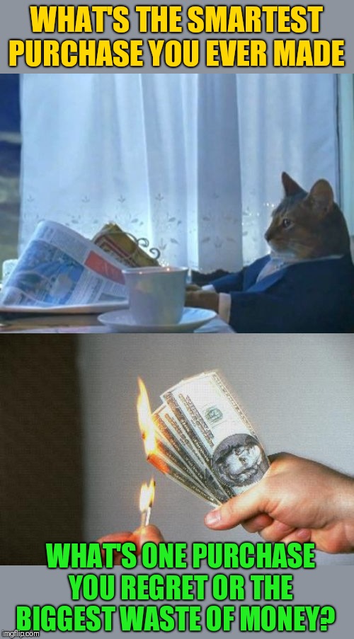 WHAT'S THE SMARTEST PURCHASE YOU EVER MADE; WHAT'S ONE PURCHASE YOU REGRET OR THE BIGGEST WASTE OF MONEY? | image tagged in memes,i should buy a boat cat,burning money | made w/ Imgflip meme maker