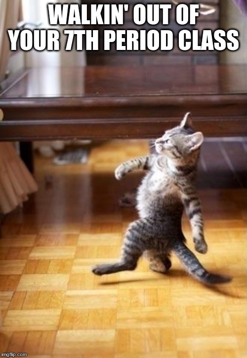 Cool Cat Stroll Meme | WALKIN' OUT OF YOUR 7TH PERIOD CLASS | image tagged in memes,cool cat stroll | made w/ Imgflip meme maker