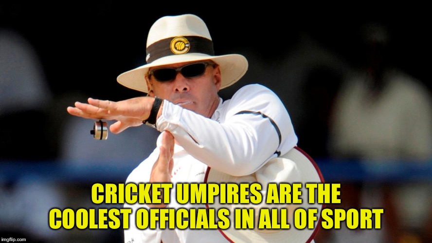 Cricket Umpire DRS | CRICKET UMPIRES ARE THE COOLEST OFFICIALS IN ALL OF SPORT | image tagged in cricket umpire drs | made w/ Imgflip meme maker