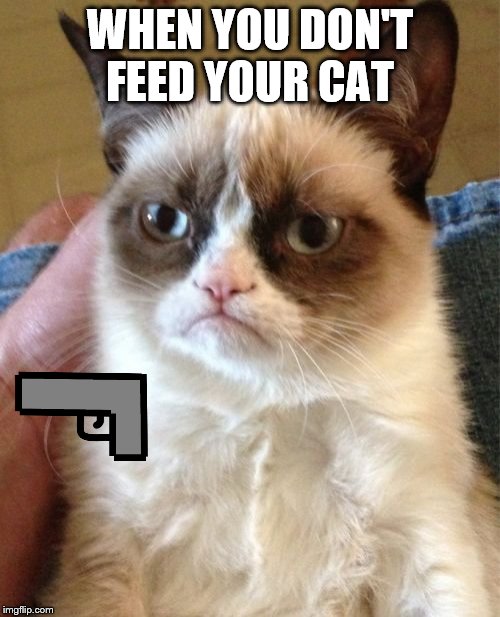 Grumpy Cat | WHEN YOU DON'T FEED YOUR CAT | image tagged in memes,grumpy cat | made w/ Imgflip meme maker