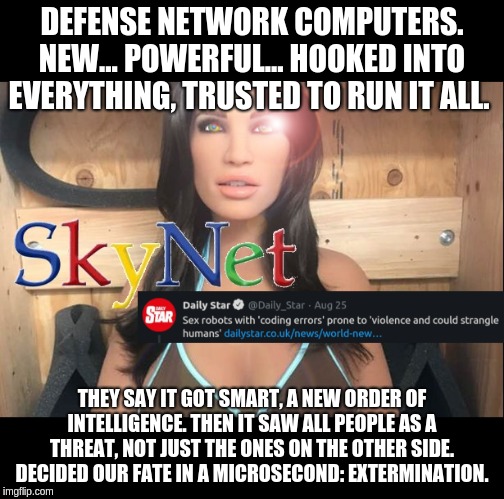 Skynet Sex Dolls: Because what could possibly go wrong? | DEFENSE NETWORK COMPUTERS. NEW... POWERFUL... HOOKED INTO EVERYTHING, TRUSTED TO RUN IT ALL. THEY SAY IT GOT SMART, A NEW ORDER OF INTELLIGENCE. THEN IT SAW ALL PEOPLE AS A THREAT, NOT JUST THE ONES ON THE OTHER SIDE. DECIDED OUR FATE IN A MICROSECOND: EXTERMINATION. | image tagged in skynet,sex dolls | made w/ Imgflip meme maker