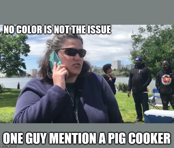 911 whats your emergency | NO COLOR IS NOT THE ISSUE; ONE GUY MENTION A PIG COOKER | image tagged in racism | made w/ Imgflip meme maker