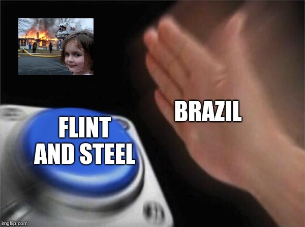 Blank Nut Button Meme | BRAZIL; FLINT AND STEEL | image tagged in memes,blank nut button | made w/ Imgflip meme maker