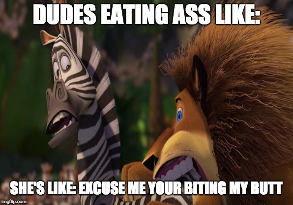 YOUR BITING MY BUTT | DUDES EATING ASS LIKE:; SHE'S LIKE: EXCUSE ME YOUR BITING MY BUTT | image tagged in madagascar,butt,alex the lion,marty the zebra | made w/ Imgflip meme maker