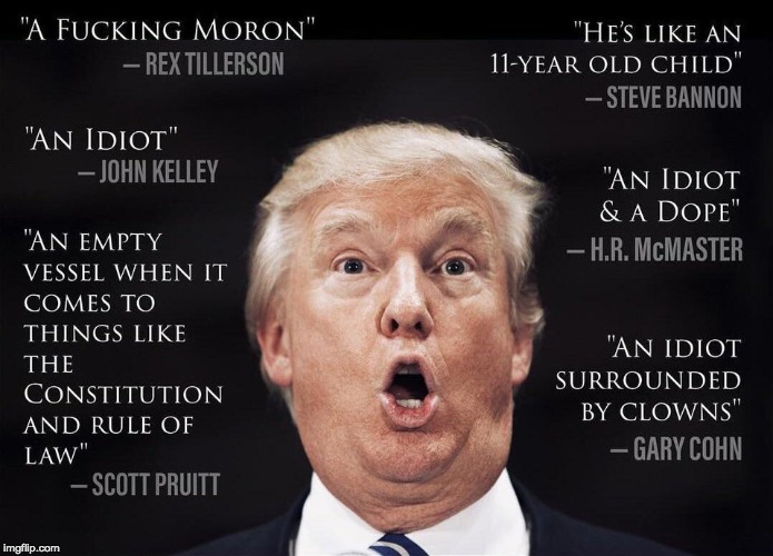 Words the from people who actually worked for him | . | image tagged in donald trump,moron,dump trump,liar | made w/ Imgflip meme maker