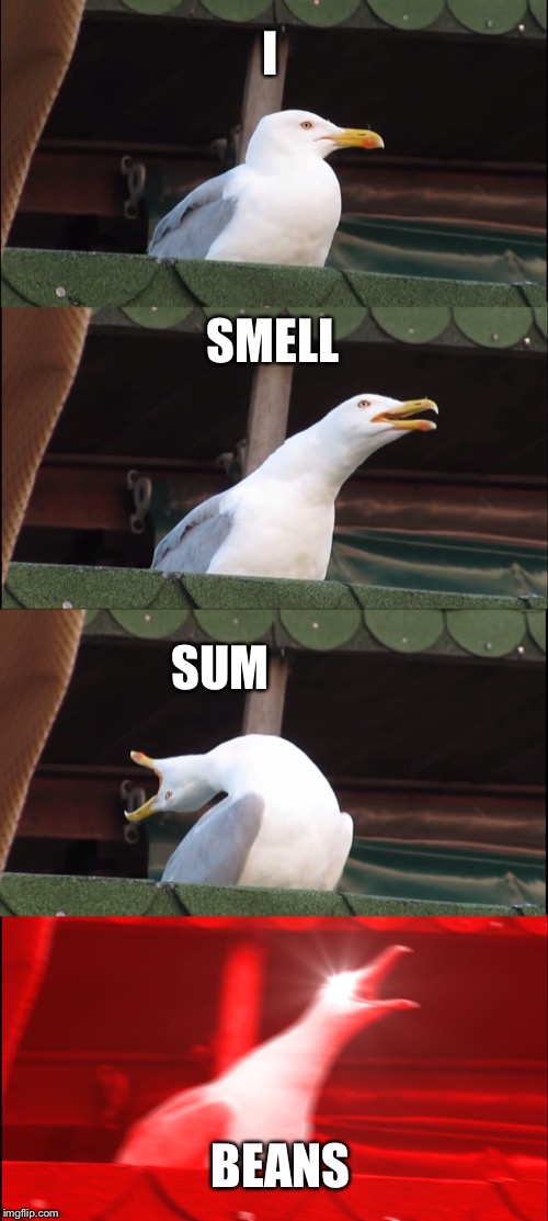 Inhaling Seagull Meme | I; SMELL; SUM; BEANS | image tagged in memes,inhaling seagull | made w/ Imgflip meme maker
