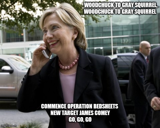 Commence Operation Bedsheets, Go, Go, Go | WOODCHUCK TO GRAY SQUIRREL,  WOODCHUCK TO GRAY SQUIRREL; COMMENCE OPERATION BEDSHEETS 
NEW TARGET JAMES COMEY
GO, GO, GO | image tagged in hillary clinton,jeffrey epstein,murder,conspiracy theory,deep state,barack obama | made w/ Imgflip meme maker