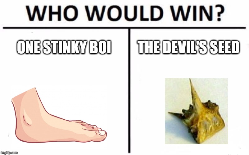 Who Would Win? Meme | ONE STINKY BOI; THE DEVIL'S SEED | image tagged in memes,who would win | made w/ Imgflip meme maker