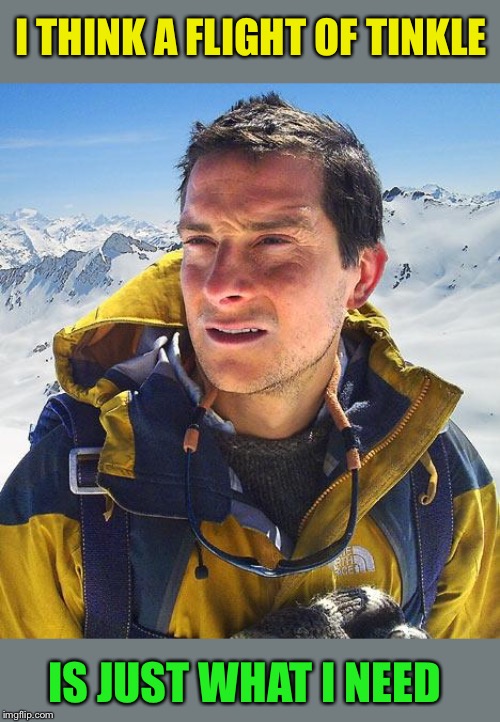 Bear Grylls Meme | I THINK A FLIGHT OF TINKLE IS JUST WHAT I NEED | image tagged in memes,bear grylls | made w/ Imgflip meme maker