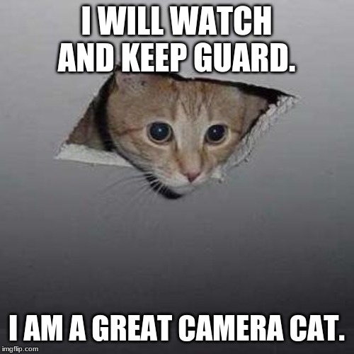 Camera Cat | I WILL WATCH AND KEEP GUARD. I AM A GREAT CAMERA CAT. | image tagged in memes,ceiling cat,camera cat,watch,guard | made w/ Imgflip meme maker