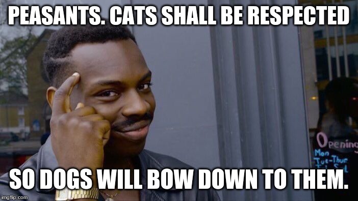 Roll Safe Think About It Meme | PEASANTS. CATS SHALL BE RESPECTED SO DOGS WILL BOW DOWN TO THEM. | image tagged in memes,roll safe think about it | made w/ Imgflip meme maker
