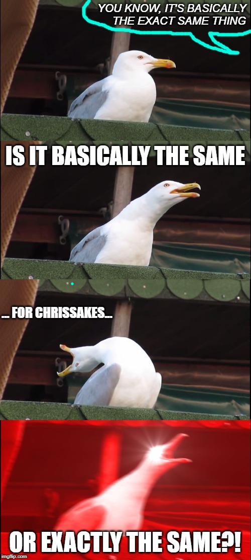 What Are You Saying? | YOU KNOW, IT'S BASICALLY  THE EXACT SAME THING; IS IT BASICALLY THE SAME; ... FOR CHRISSAKES... OR EXACTLY THE SAME?! | image tagged in memes,inhaling seagull,english,confusing,annoying | made w/ Imgflip meme maker