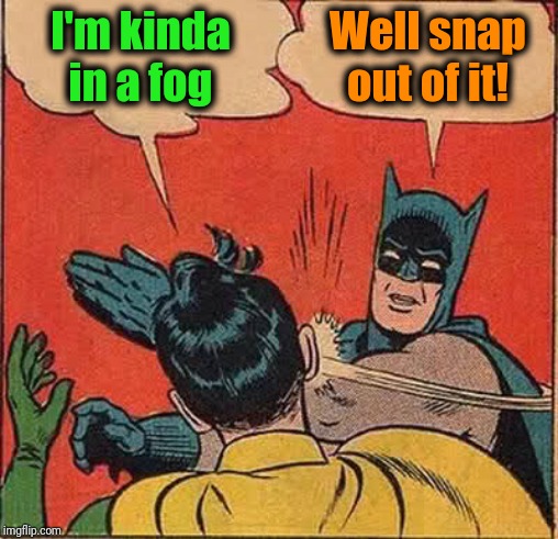 Batman Slapping Robin Meme | I'm kinda in a fog Well snap out of it! | image tagged in memes,batman slapping robin | made w/ Imgflip meme maker