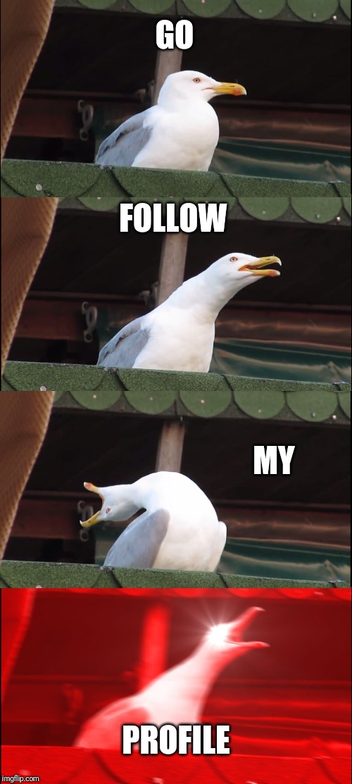 Inhaling Seagull | GO; FOLLOW; MY; PROFILE | image tagged in memes,inhaling seagull | made w/ Imgflip meme maker