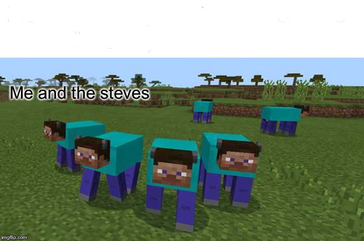 Me and the steves | image tagged in meme | made w/ Imgflip meme maker