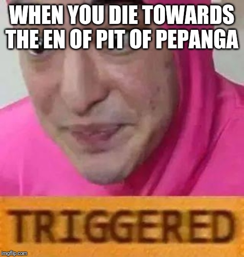 Triggerd | WHEN YOU DIE TOWARDS THE EN OF PIT OF PEPANGA | image tagged in triggerd | made w/ Imgflip meme maker