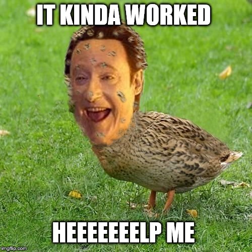 The Data Ducky | IT KINDA WORKED HEEEEEEELP ME | image tagged in the data ducky | made w/ Imgflip meme maker