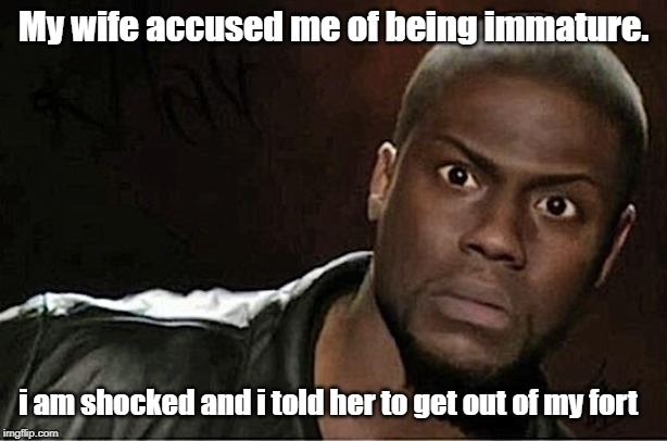 Kevin Hart Meme | My wife accused me of being immature. i am shocked and i told her to get out of my fort | image tagged in memes,kevin hart | made w/ Imgflip meme maker