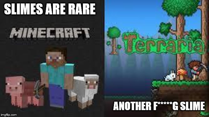 minecraft and terraria | SLIMES ARE RARE; ANOTHER F*****G SLIME | image tagged in minecraft and terraria | made w/ Imgflip meme maker