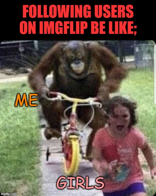 More Profile Information Would Be Nice (Optional of course) | FOLLOWING USERS ON IMGFLIP BE LIKE;; ME; GIRLS | image tagged in imgflip,imgflip users,information,profile,did you just assume my gender | made w/ Imgflip meme maker
