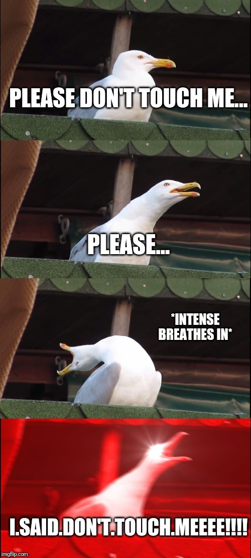 When someone touches me | PLEASE DON'T TOUCH ME... PLEASE... *INTENSE BREATHES IN*; I.SAID.DON'T.TOUCH.MEEEE!!!! | image tagged in memes,inhaling seagull | made w/ Imgflip meme maker