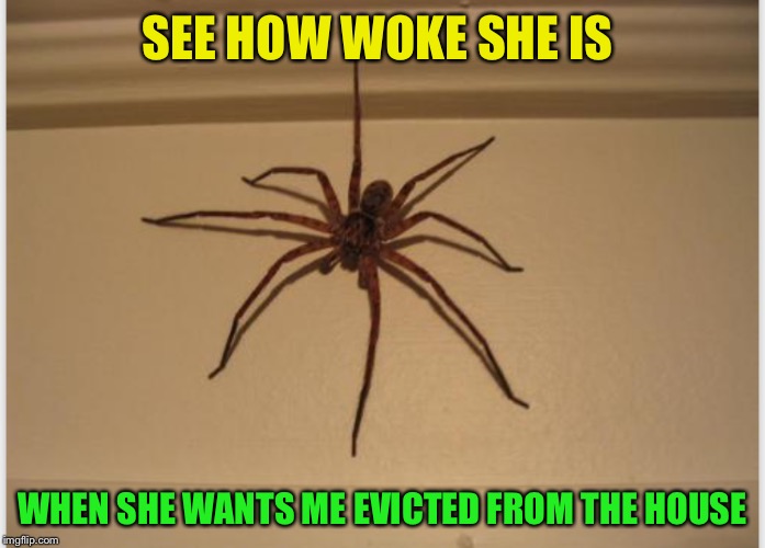 SEE HOW WOKE SHE IS WHEN SHE WANTS ME EVICTED FROM THE HOUSE | made w/ Imgflip meme maker