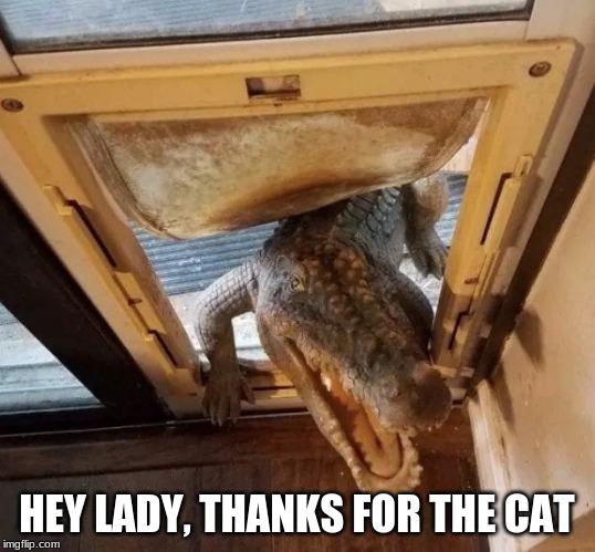 Always thank your host | HEY LADY, THANKS FOR THE CAT | image tagged in eat more cats,tastes like chicken,lock your doggie doors,always thank your host,wipe your feet,everyone should have a pet | made w/ Imgflip meme maker
