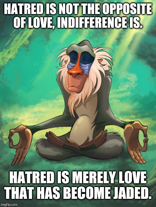 Rafiki wisdom | HATRED IS NOT THE OPPOSITE OF LOVE, INDIFFERENCE IS. HATRED IS MERELY LOVE THAT HAS BECOME JADED. | image tagged in rafiki wisdom | made w/ Imgflip meme maker