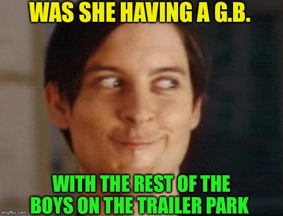 Spiderman Peter Parker Meme | WAS SHE HAVING A G.B. WITH THE REST OF THE BOYS ON THE TRAILER PARK | image tagged in memes,spiderman peter parker | made w/ Imgflip meme maker