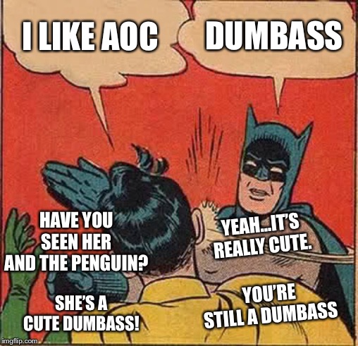 Batman Slapping Robin | I LIKE AOC; DUMBASS; HAVE YOU SEEN HER AND THE PENGUIN? YEAH...IT’S REALLY CUTE. YOU’RE STILL A DUMBASS; SHE’S A CUTE DUMBASS! | image tagged in memes,batman slapping robin,aoc,alexandria ocasio-cortez,penguin,socially awesome awkward penguin | made w/ Imgflip meme maker