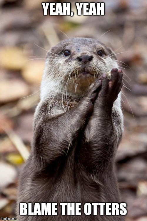 Slow-Clap Otter | YEAH, YEAH BLAME THE OTTERS | image tagged in slow-clap otter | made w/ Imgflip meme maker