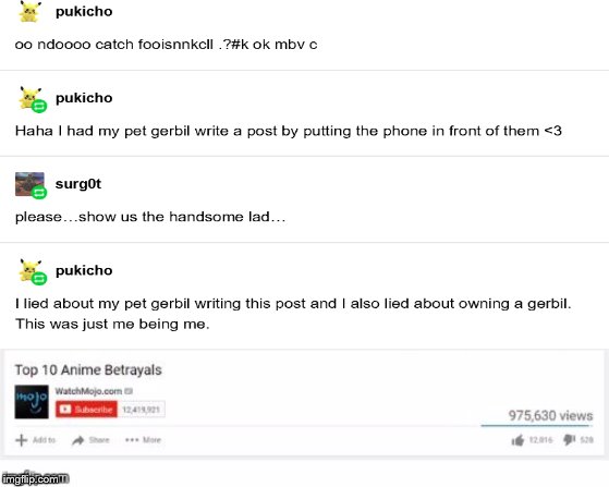 Damn you Tumblr! | image tagged in tumblr,pukicho,top ten anme betrayals | made w/ Imgflip meme maker
