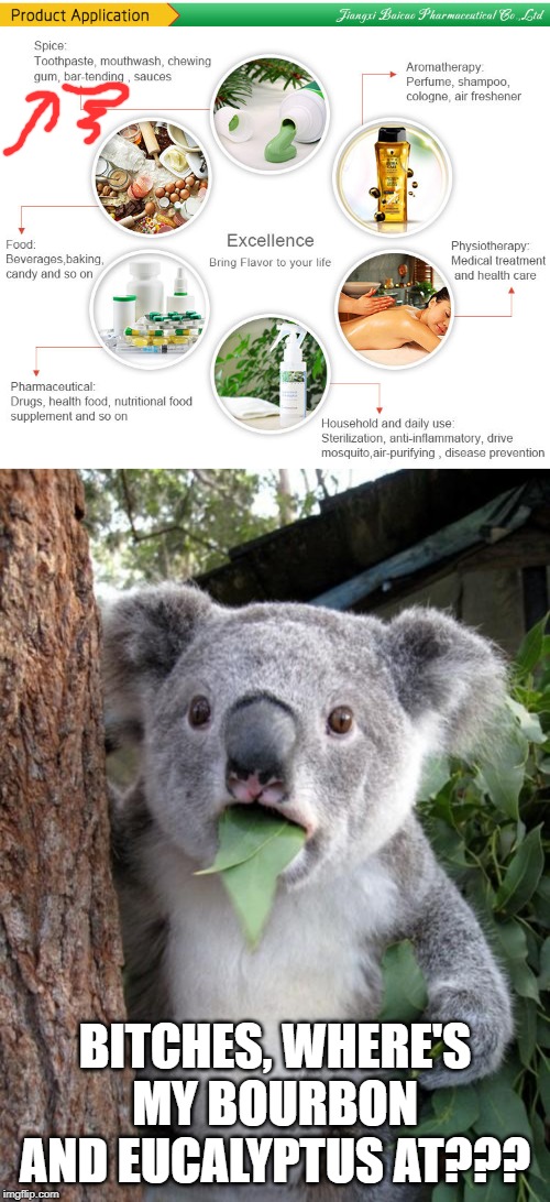 Koala Wants a Drink! | BITCHES, WHERE'S MY BOURBON AND EUCALYPTUS AT??? | image tagged in memes,surprised koala | made w/ Imgflip meme maker
