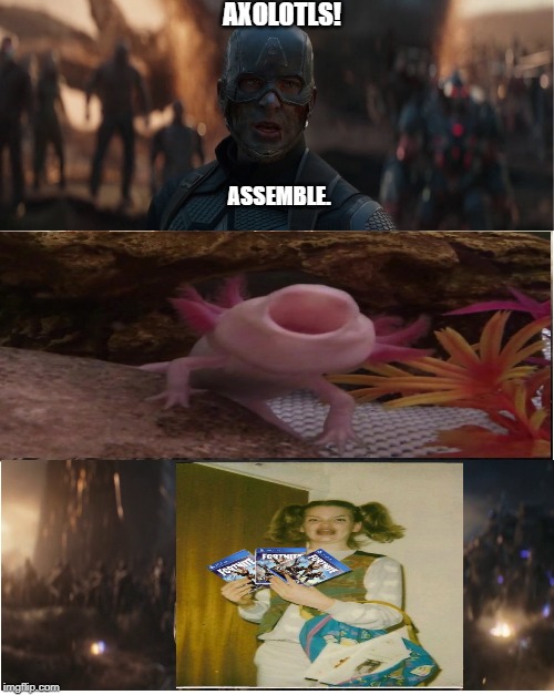 AVENGERS ASSEMBLE! | AXOLOTLS! ASSEMBLE. | image tagged in avengers assemble | made w/ Imgflip meme maker