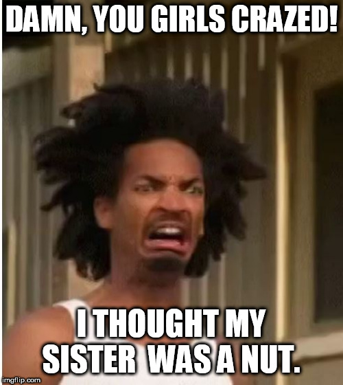 DAMN, YOU GIRLS CRAZED! I THOUGHT MY SISTER  WAS A NUT. | made w/ Imgflip meme maker