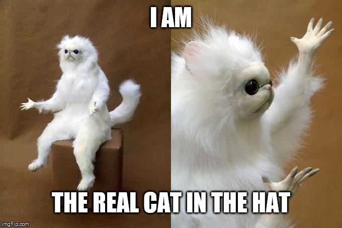 Persian Cat Room Guardian Meme | I AM; THE REAL CAT IN THE HAT | image tagged in memes,persian cat room guardian | made w/ Imgflip meme maker